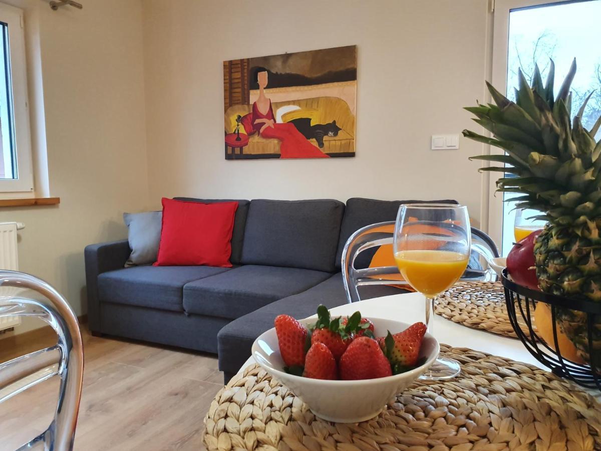 Apartamenty Szafirowa Mierzeja - 365Pam เมียลโน ภายนอก รูปภาพ